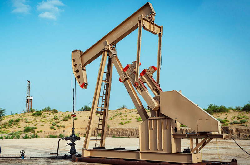 Domestic production of energy scripts a new chapter in Rajasthan